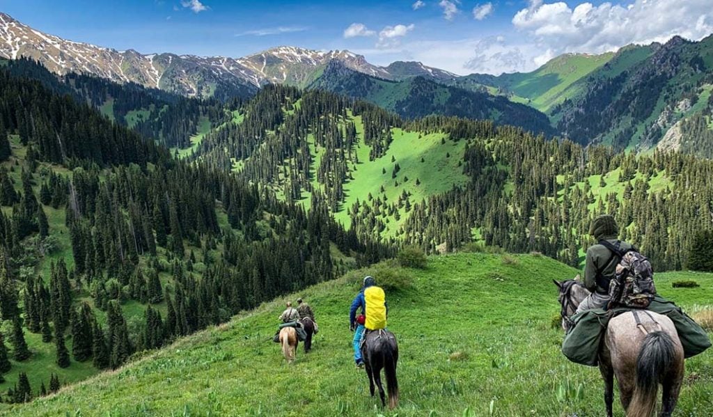 Horseback Tours & Outdoor Activities tour category
